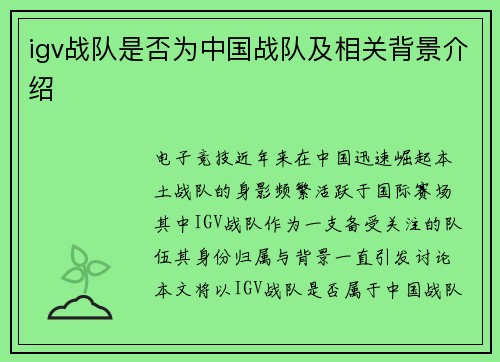 igv战队是否为中国战队及相关背景介绍